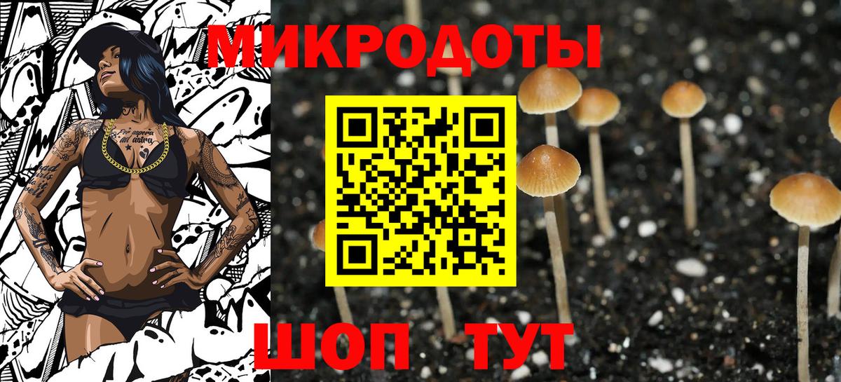 Галлюциногенные грибы Cubensis Краснокамск